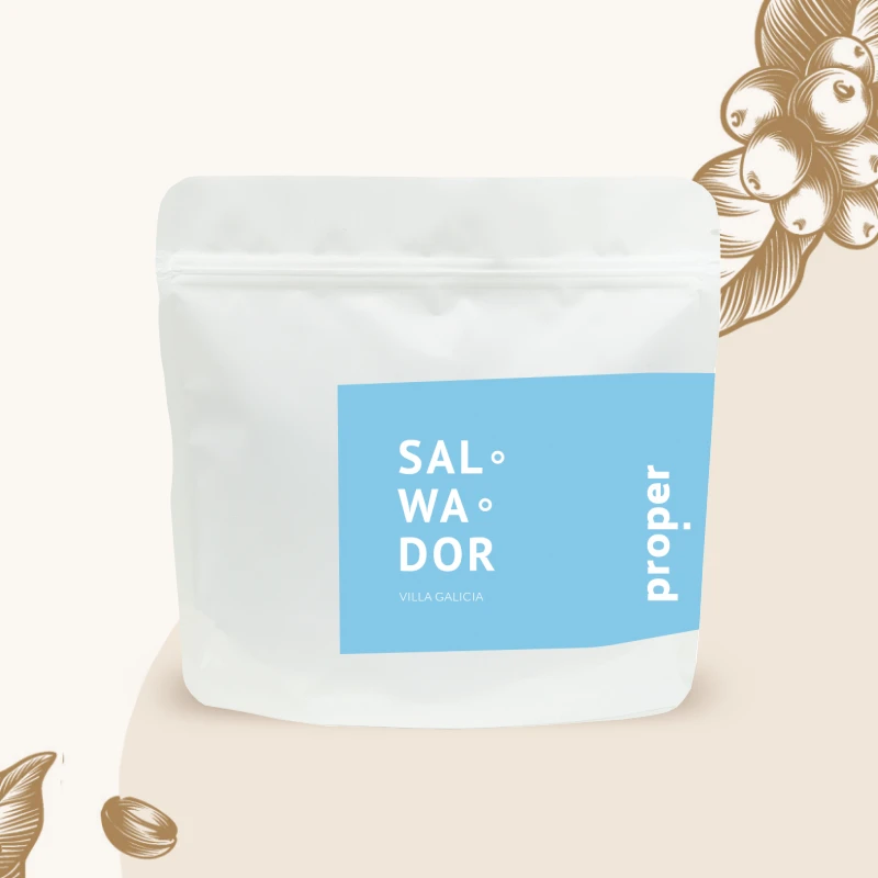 SALWADOR Villa Galicia