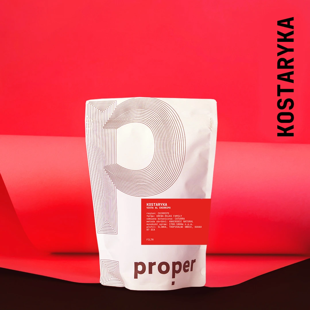 KOSTARYKA Vista al Chirripo