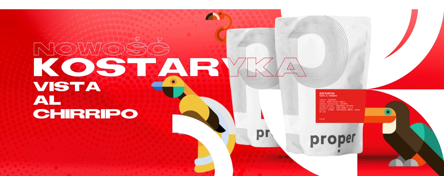 KOSTARYKA Vista al Chirripo