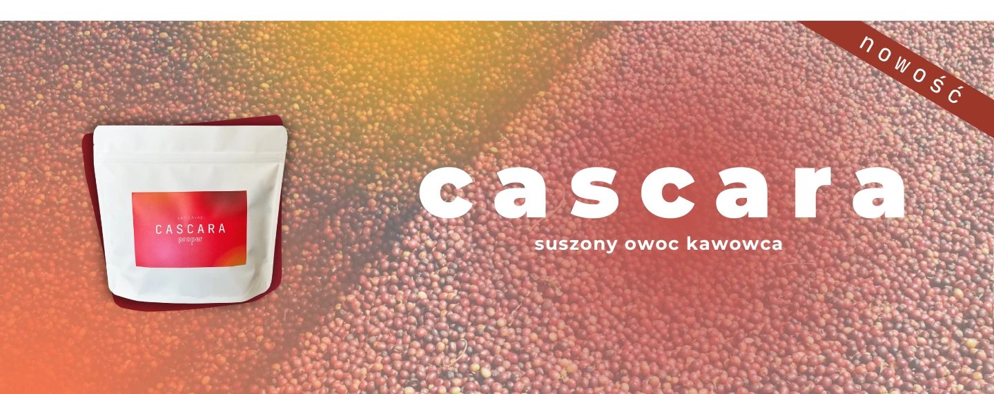 cascara 2026